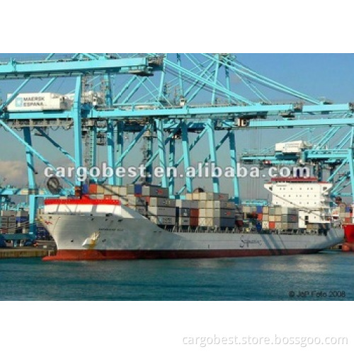 shipping agency freight from Shenzhen to Port elizabeth South Africa -DIANA